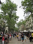IMG_8817
