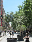 IMG_8801