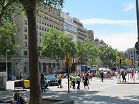 IMG_8800