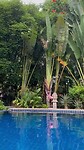At the pool at Little Village