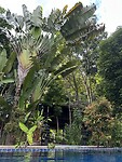 IMG_7123
