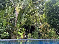 IMG_7122
