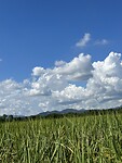 IMG_7108