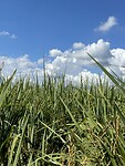 IMG_7107