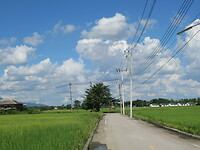 IMG_9028