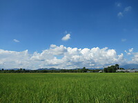 IMG_9025