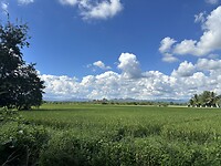 IMG_7105