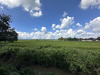 IMG_7104