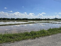 IMG_7100