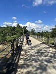 IMG_7098
