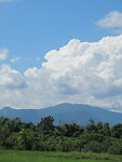 IMG_9023