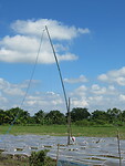 IMG_9021
