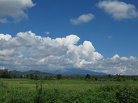 IMG_9019