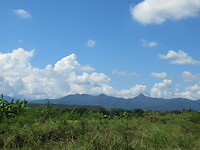 IMG_9015