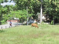 IMG_9014