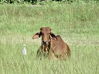 IMG_9013