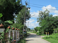 IMG_9010