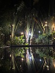 IMG_7158