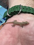 IMG_7349
