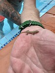IMG_7348