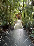 IMG_7346