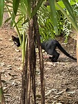 IMG_7343