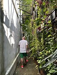 IMG_7341