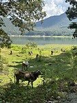 IMG_7323