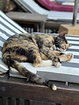 IMG_7504