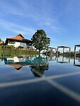 IMG_7503