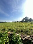 IMG_7493