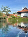 IMG_7490
