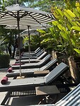 IMG_7484