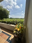 IMG_7469