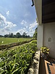 IMG_7467