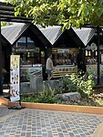 IMG_7451