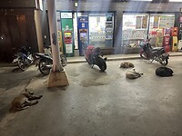 IMG_7669