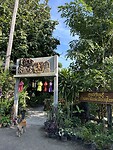IMG_7658