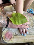 IMG_7592