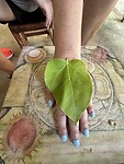 IMG_7587