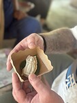 IMG_7576