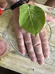 IMG_7573