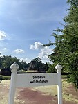 IMG_7556