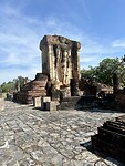 IMG_7554