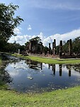 IMG_7548