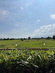 IMG_7541