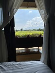 IMG_7540