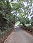 IMG_9188