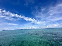 IMG_8003
