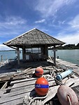 IMG_7996